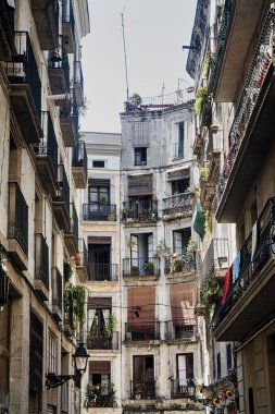 Barcelona (İspanya): Gotik Semti