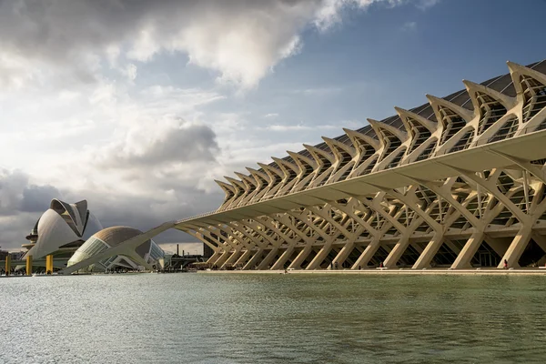 Valencia, Spanyolország - 2016. július 14.: A Valencia (Spanyolország), a City of Arts and Sciences — Stock Fotó