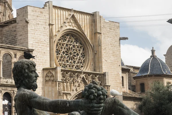 Valencia (Spagna), fontana e cattedrale — Foto Stock