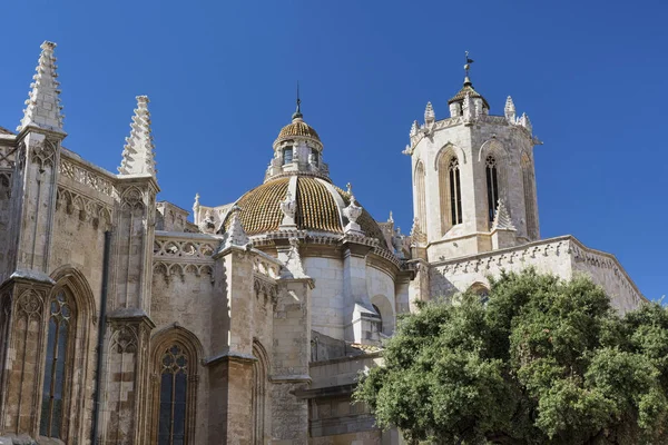 Tarragona (Spanje): gotische kathedraal — Stockfoto