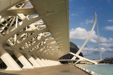 Valencia (İspanya), City of Arts and Sciences