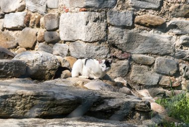 Barberaz (Lombardy, İtalya), arkeolojik bölgesi