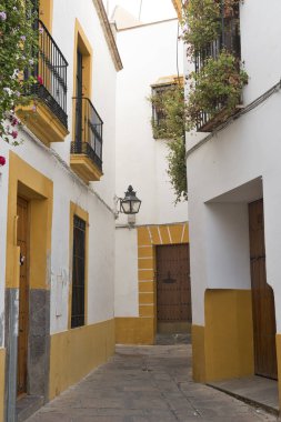 Cordoba (Endülüs, İspanya): sokak