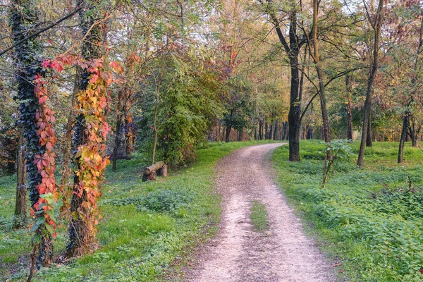 Lambro valley (Brianza, Italy) at fall — Stock Photo, Image