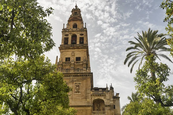 Cordoba (Andalucia, Spain): cathedral courtyard — Stock Photo, Image