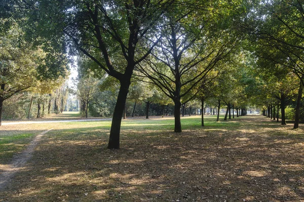 Mailand (Italien): parco nord im Herbst — Stockfoto