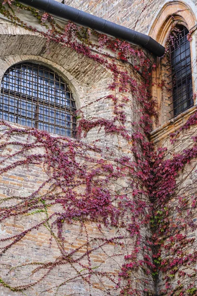 Monza (Itálie): historické budovy — Stock fotografie