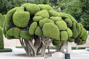 Madrid (İspanya): Buen Retiro Park