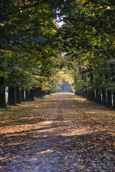 Monza (Italien): parken på hösten — Stockfoto