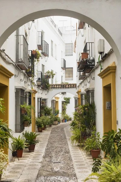 Cordoba (Andalusie, Španělsko): ulice — Stock fotografie