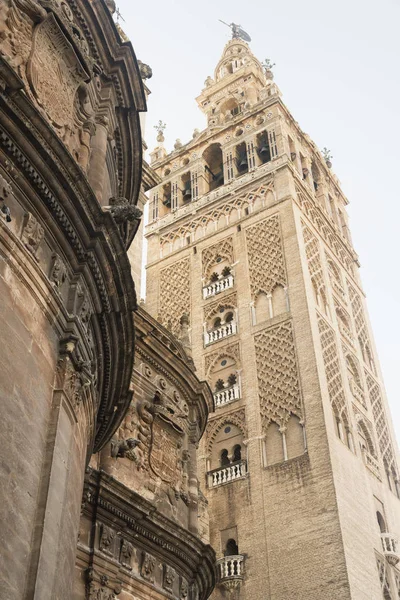 Sevilla (Andalusie, Španělsko): Giralda, katedrála zvonice — Stock fotografie