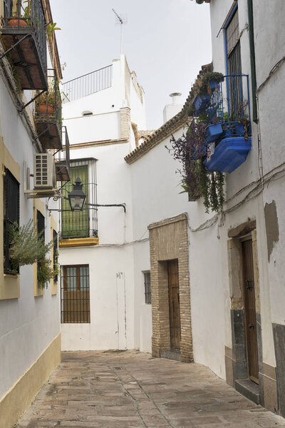 Cordoba (Andalucia, Spain): old typical street in the Juderia with plants and flowers
