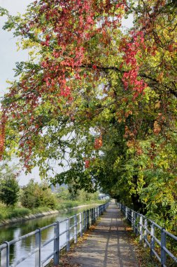 Monza (İtalya): Villoresi kanal
