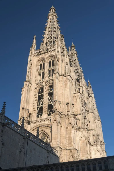 Burgos (Spain): cathedral — Stock Photo, Image