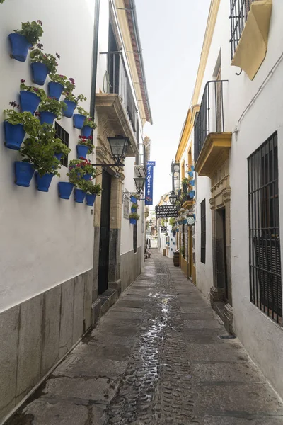 Córdoba (Andalucía, España): calle — Foto de Stock