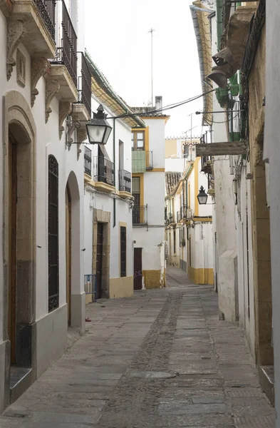 Cordoba (Andalucia, Spain): street — Stock Photo, Image