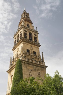 Cordoba (Endülüs, İspanya): katedral çan kulesi