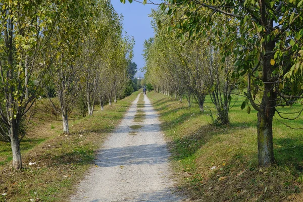 Milão (Itália): parque de Grugnotorto no outono — Fotografia de Stock