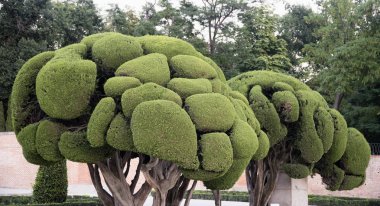 Madrid (İspanya): Buen Retiro Park