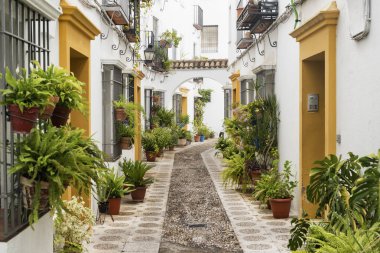 Cordoba (Endülüs, İspanya): sokak