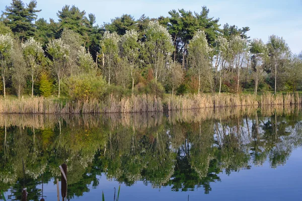 Grugnotorto park (Brianza, Olaszország) — Stock Fotó