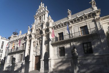 Valladolid (Castilla y Leon, Spain): University