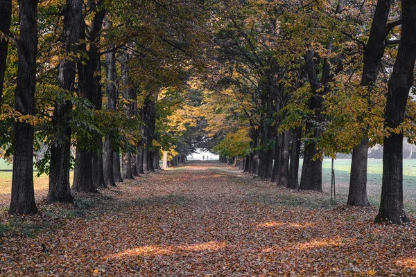 Monza (Italia): el parque en otoño — Foto de Stock