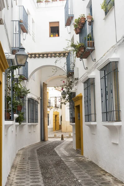 Córdoba (Andalucía, España): calle —  Fotos de Stock