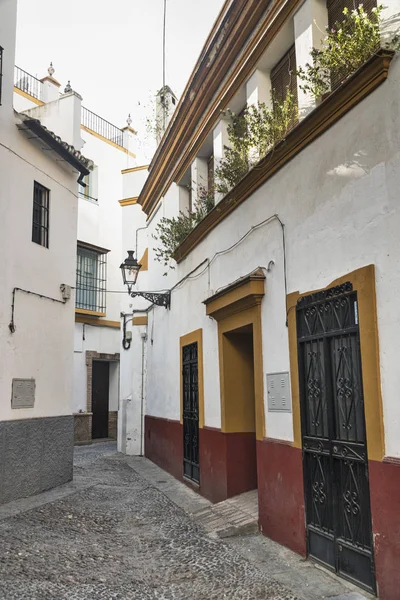 Sevilla (Andalucía, España): Barrio Santa Cruz —  Fotos de Stock