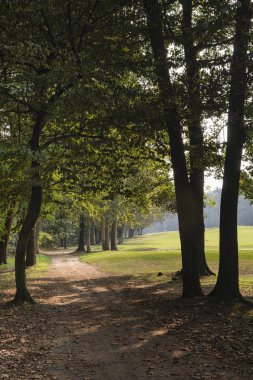 Monza (İtalya), sonbahar parkta