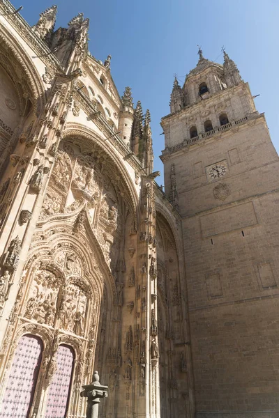 Salamanque (Espagne) : cathédrale historique — Photo