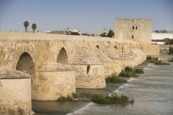 Córdoba (Andalucía, España): Puente romano —  Fotos de Stock