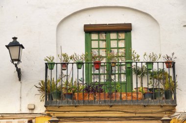 Ronda (Andalucia): house