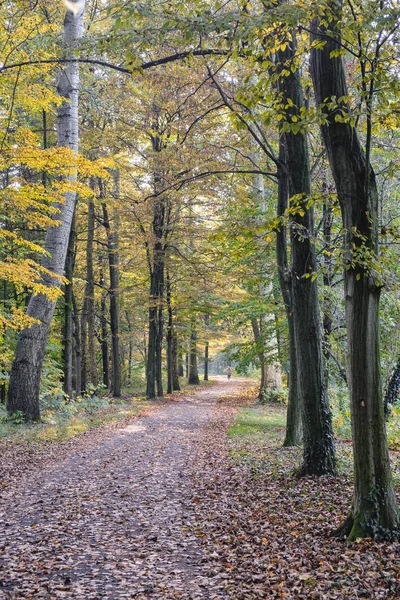 Monza (İtalya): Sonbahar parkta