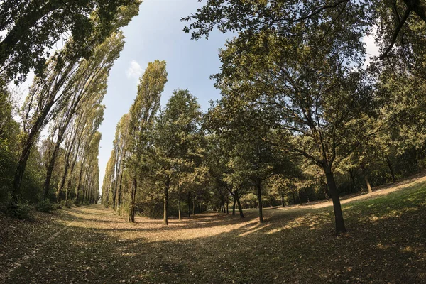 Milano (Italia): Parco Nord in autunno — Foto Stock