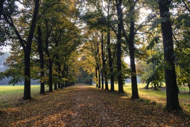 Monza (İtalya): Sonbahar parkta