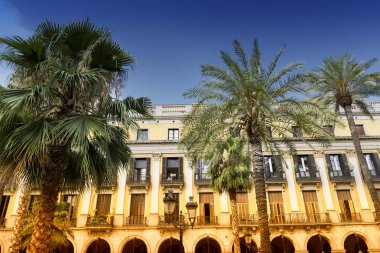 Barcelona (İspanya): Royal Square