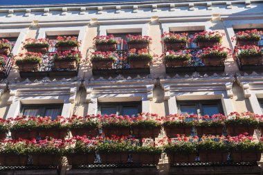 Leon (İspanya): tarihi bina 