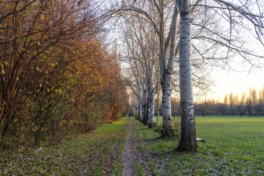 Milano (İtalya): Parco Nord sonbahar