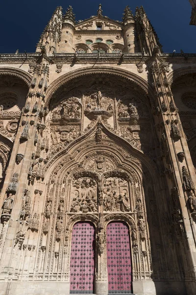 Salamanca (İspanya): tarihi katedral — Stok fotoğraf