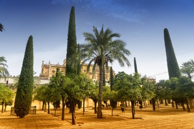 Cordoba (Endülüs, İspanya): katedral avlu