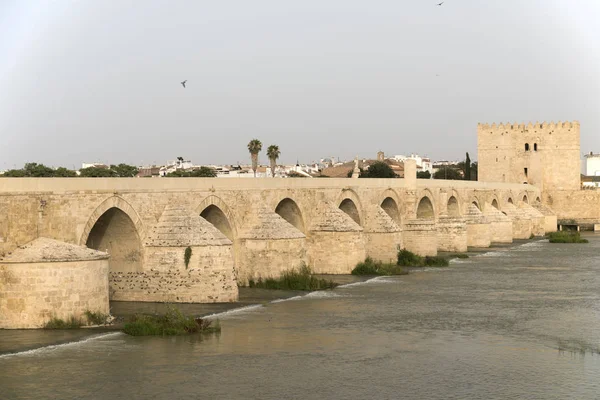 Córdoba (Andalucía, España): Puente romano —  Fotos de Stock