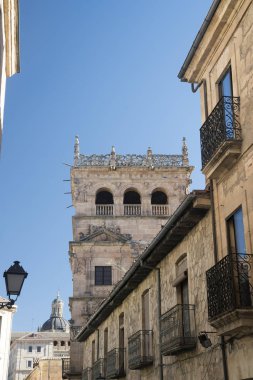 Salamanca (İspanya): tarihi Monterrey Palace