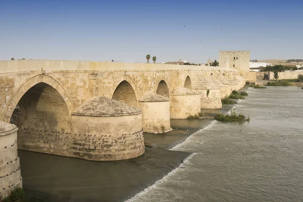 Cordoba (Andalusie, Španělsko): Římský most — Stock fotografie