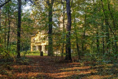 Monza (İtalya): Sonbahar parkta