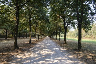 Milano (İtalya): Parco Nord Güz