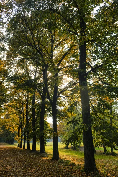 Monza (Italia): il parco in autunno — Foto Stock
