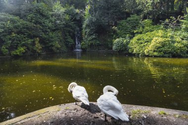 Varese (İtalya): Giardini degli Estensi, tarihi park