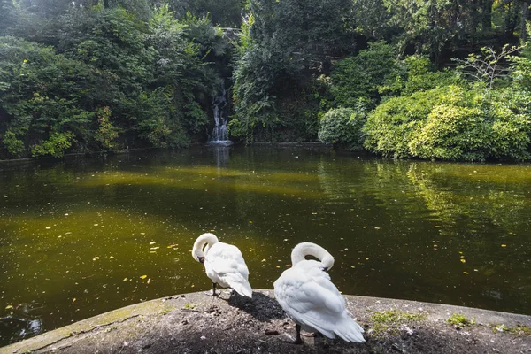 Varese (İtalya): Giardini degli Estensi, tarihi park