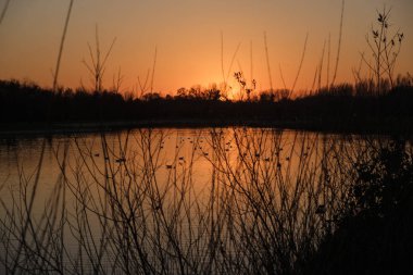 Milano (İtalya): Parco Nord günbatımı